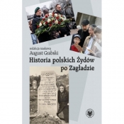 Historia polskich Żydów po Zagładzie - Grabski August (red.naukowa)