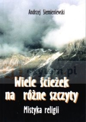Spory i konflikty międzynarodowe - Siemieniewski Andrzej