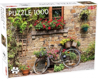 Puzzle 1000: Flowers at the wall (56241)