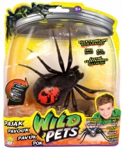 WILD PETS Interaktywny pajak, Creepster (MO-29016-4)