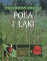 Pola i łąki