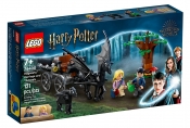 LEGO Harry Potter: Testrale i kareta z Hogwartu (76400)