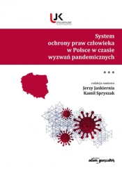 System ochrony praw człowieka w Polsce w czasie wyzwań pandemicznych. Tom 3