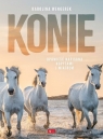 Konie. Opowieść napisania kopytami i wiatrem Karolina Wengerek