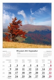 Kalendarz 2015 Pejzaże - <br />