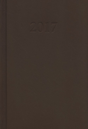 Kalendarz 2017 KKB-6D B6 dzienny jasny brąz