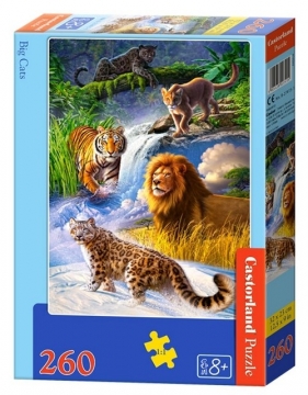 Puzzle 260: Big Cast
