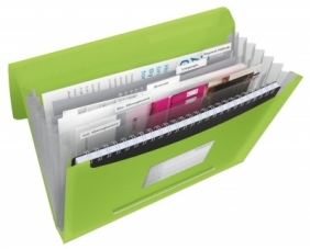 Teczka z przegródkami Esselte Vivida A4 kolor: zielony 6 przegródek 33 x 26 cm (624019)