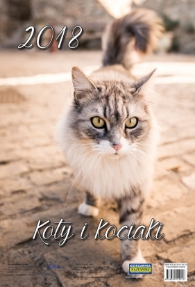 Kalendarz ścienny 2018 Koty i kociaki