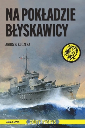 Na pokładzie Błyskawicy - Andrzej Kuczera