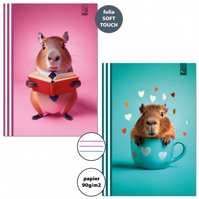 <img src='https://webimage.pl/pics/417/3/d5906893613417.jpg'>