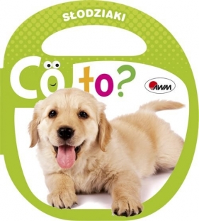 Co to Słodziaki - Piotr Kozera