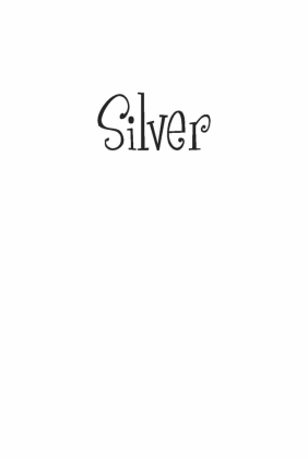 Silver. Trzecia księga snów - Gier Kerstin