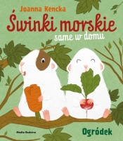 Świnki morskie same w domu. Ogródek - Kencka Joanna