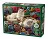 Puzzle 1000 Koty rasy Ragdoll 112233 12+
