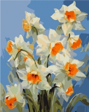 Malowanie po numerach - Wiosenne żonkile, 40x50cm