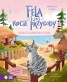 Fela i jej kocie przygody. Kotka ze słonecznych wydm