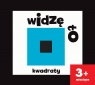 Widzę to. Kwadraty Joanna Babula