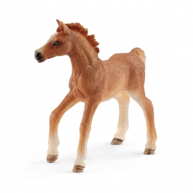 Schleich 42361 Źrebię z kocem