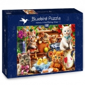 Bluebird Puzzle 1000: Małe kotki w szopie (70241)