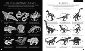 Gabinet dinozaurów - Lucy Brownridge, Carnovsky