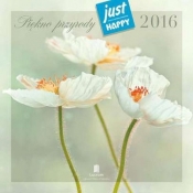 Kalendarz praktyczny 2016 PK 01 Piękno przyrody - <br />