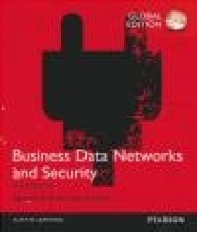 Business Data Networks and Security Raymond Panko, Julia Panko