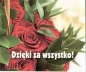 DZIĘKI ZA WSZYSTKO PEREŁKI - Opracowanie zbiorowe