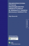 Prawnoprocesowa sytuacja przedsiębiorstwa energetycznego w sprawach z zakresu Elżanowski Filip