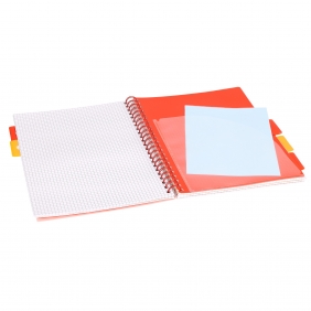 Kołozeszyt Strigo Pads Project Book A4 kratka Tropiki - Pelikan
