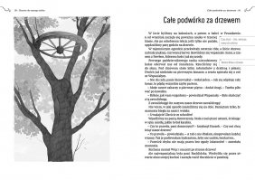 Drzewo do samego nieba - Maria Terlikowska