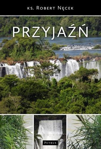 Przyjaźń