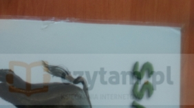 Plansza Ssaki pod ochroną w Polsce Ptaki pod ochroną w Polsce (Lekkie uszkodzenie laminatu)