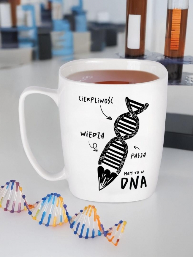 <img src='https://webimage.pl/pics/421/1/d5905159731421.jpg'>