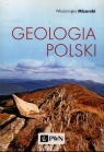 Geologia Polski Mizerski Włodzimierz