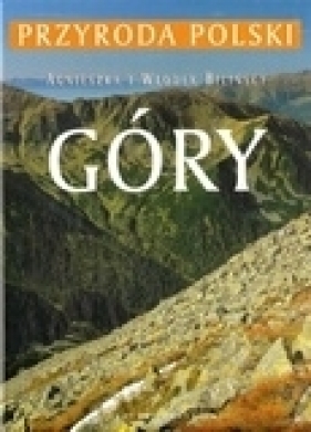Góry - Bilińska Agnieszka, Biliński Włodek