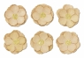 Ozdoba papierowa Galeria Papieru kwiaty samoprzylepne clematis beżowe (252013)