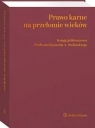 Prawo karne na przełomie wieków Księga jubileuszowa Profesora Ryszarda A.