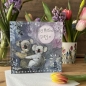 Karnet Dzień SPRS35 Matki Koala
