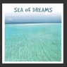 <img src='https://webimage.pl/pics/422/1/d0650922121422.jpg' width='400' height='400'> Sea of Dreams CD Richard Ackrill