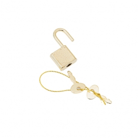 Pamiętnik z kłódką - Gabby's Dollhouse A5/96k