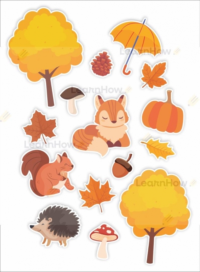 <img src='https://webimage.pl/pics/422/4/d5905080744422.jpg'>