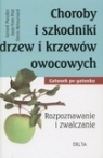 Choroby i szkodniki drzew