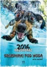 Kalendarz 2016 Szczeniaki pod wodą