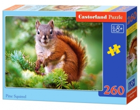 Puzzle Pine Squirrel 260 elementów