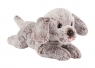  Pies Cocker spaniel