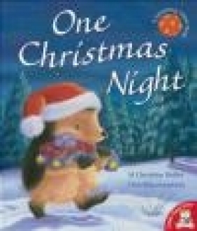 One Christmas Night M. Christina Butler