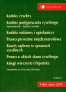 Kodeks cywilny Kodeks postępowania cywilnego Kodeks rodzinny i opiekuńczy Prawo prywatne międzynarodowe Koszty sądowe w sprawach cywilnych Prawo o aktach stanu cywilnego Księgi wieczyste i hipoteka