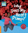 Why Does My Heart Pump? 6 Factbook Bethune Helen