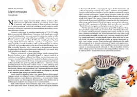 Dookoła świata. 80 ryb i innych stworzeń morskich - Helen Scales, George Marcel